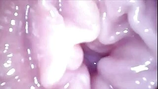 asian porn  young vip